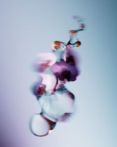 GS / Floral Study / 2