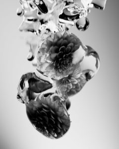 GS / Floral Study / 8