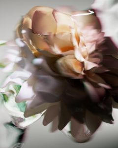 GS / Floral Study / 5