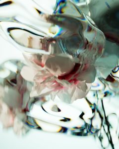 GS / Floral Study / 7