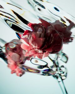 GS / Floral Study / 4