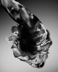 GS / Floral Study / 6